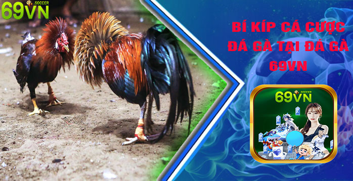 Bí Kíp Cá Cược Đá Gà Tại Đá Gà 69VN