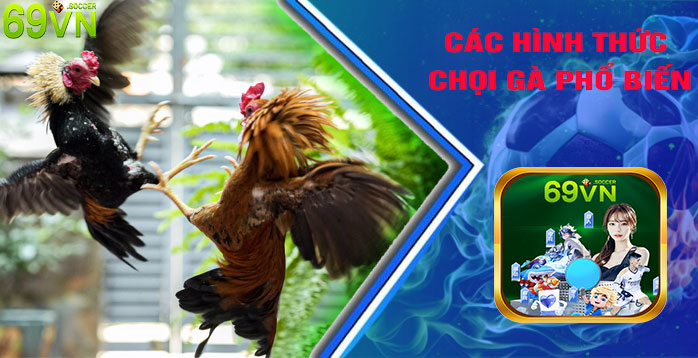 Các Hình Thức Chọi Gà Phổ Biến